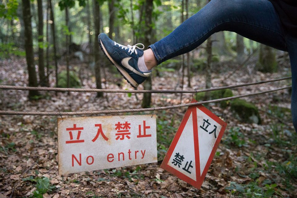 El bosque de los suicidios