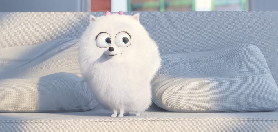 Mascotas