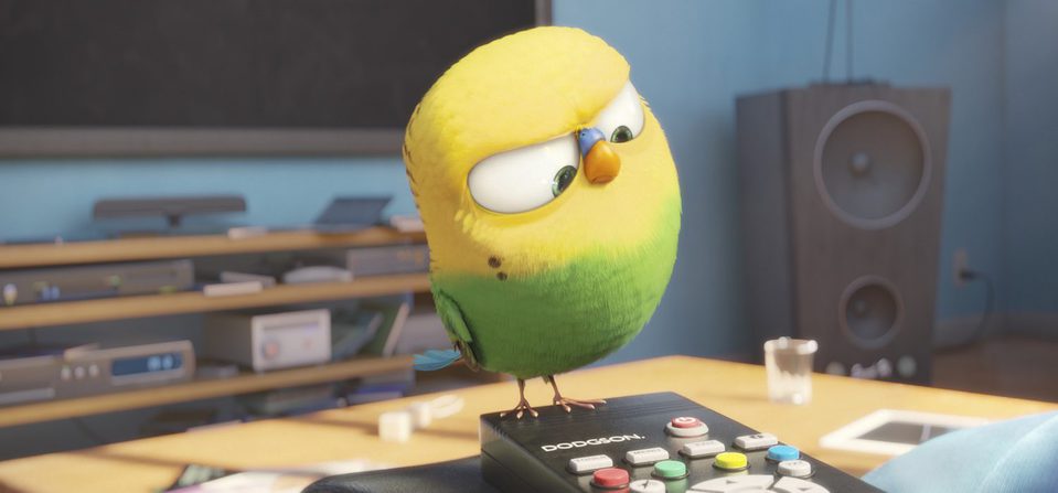 Mascotas