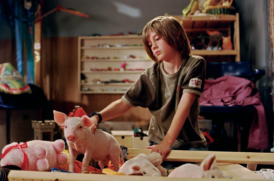 Rudy, el cerdito de carreras 2