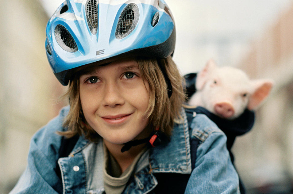 Rudy, el cerdito de carreras 2