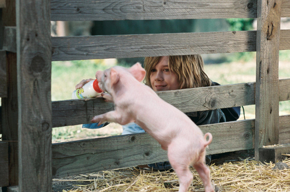 Rudy, el cerdito de carreras 2