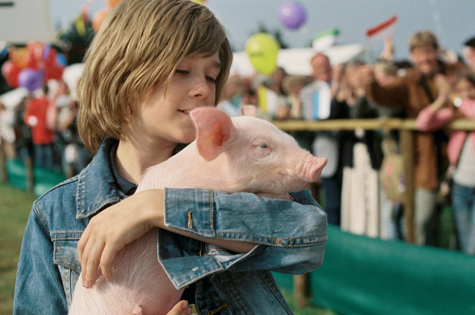 Rudy, el cerdito de carreras 2
