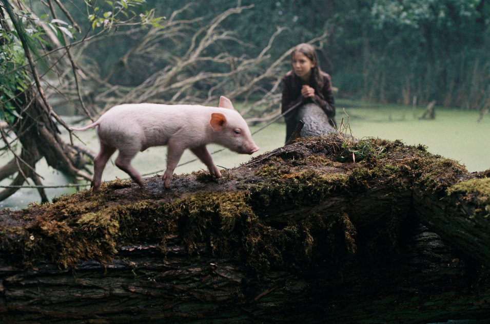 Rudy, el cerdito de carreras 2