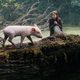 Rudy, el cerdito de carreras 2