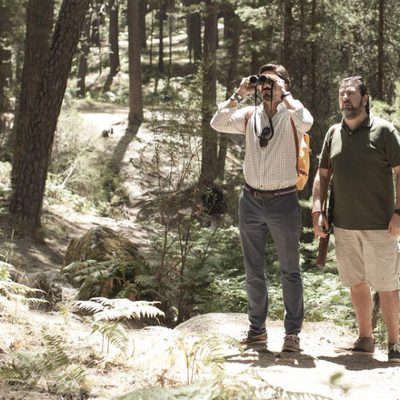 Kiki, el amor se hace