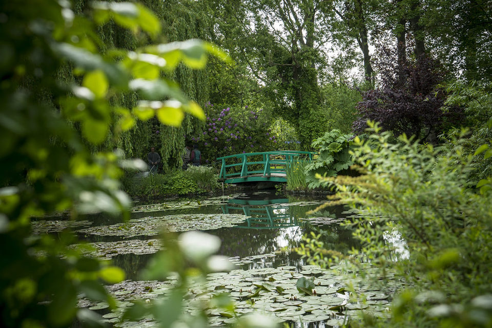 Pintando el jardín moderno: De Monet a Matisse