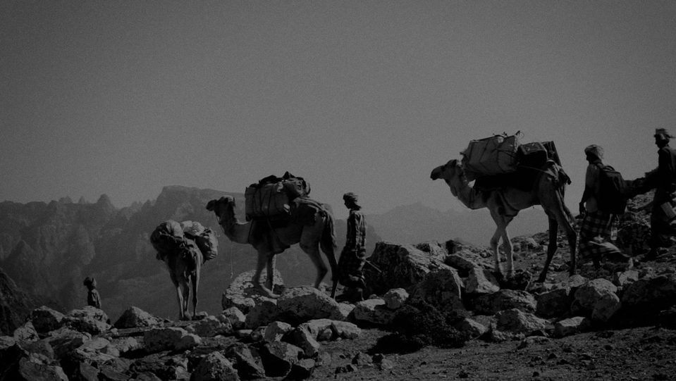 Socotra, la isla de los genios
