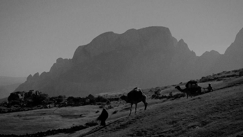 Socotra, la isla de los genios