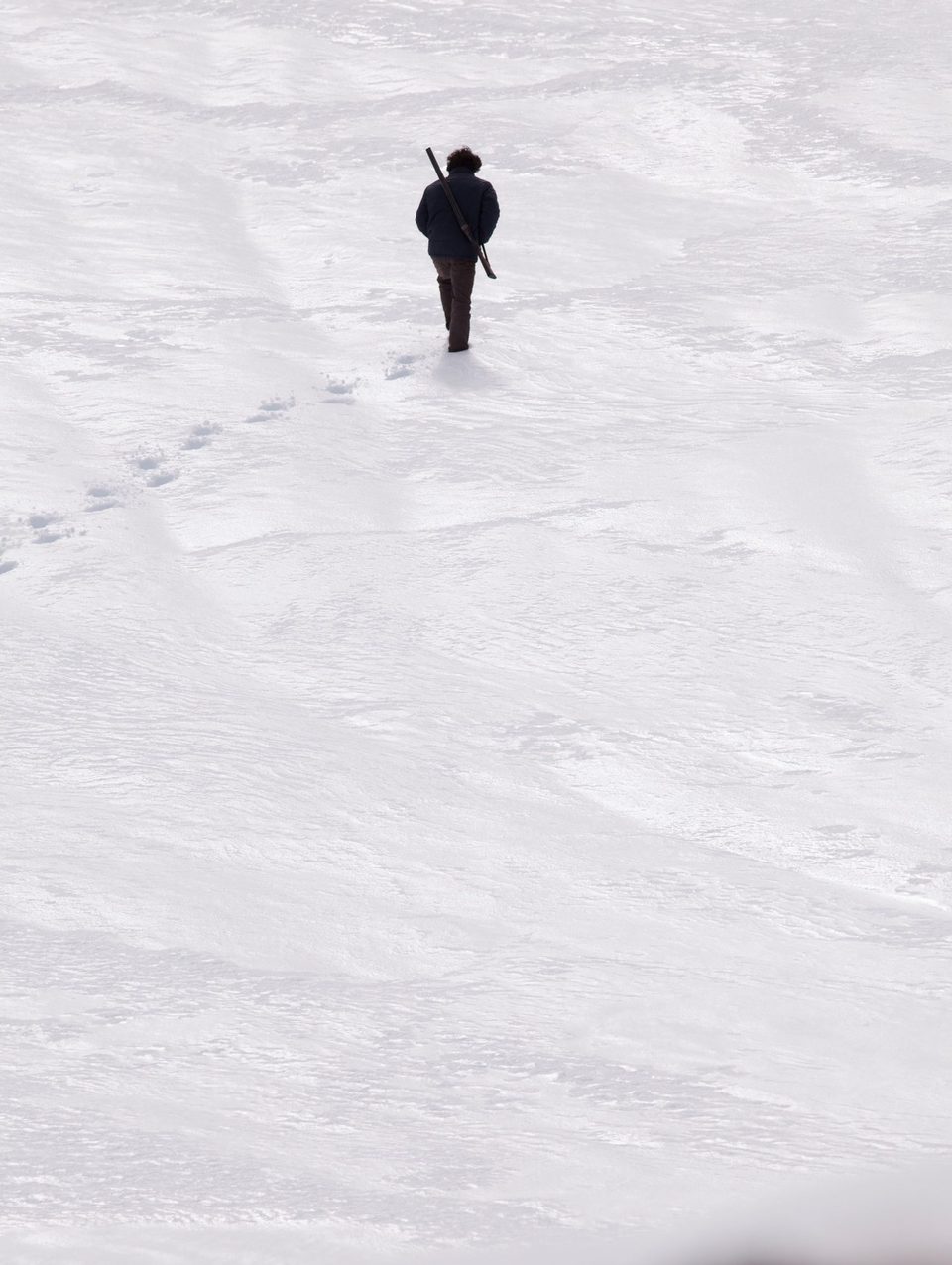 El perdido