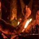 xXx: Reactivated