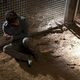 Campamento del terror (Summer Camp)