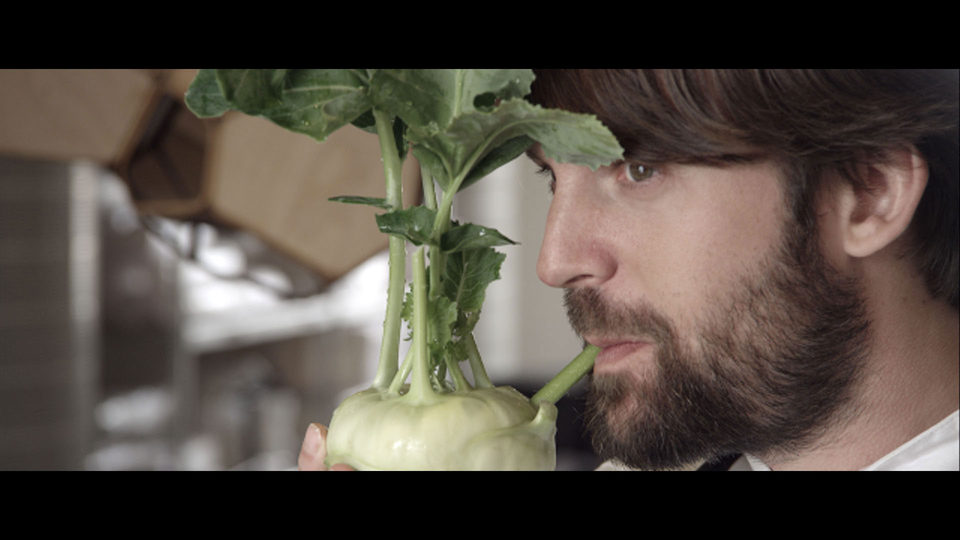 Noma: My Perfect Storm