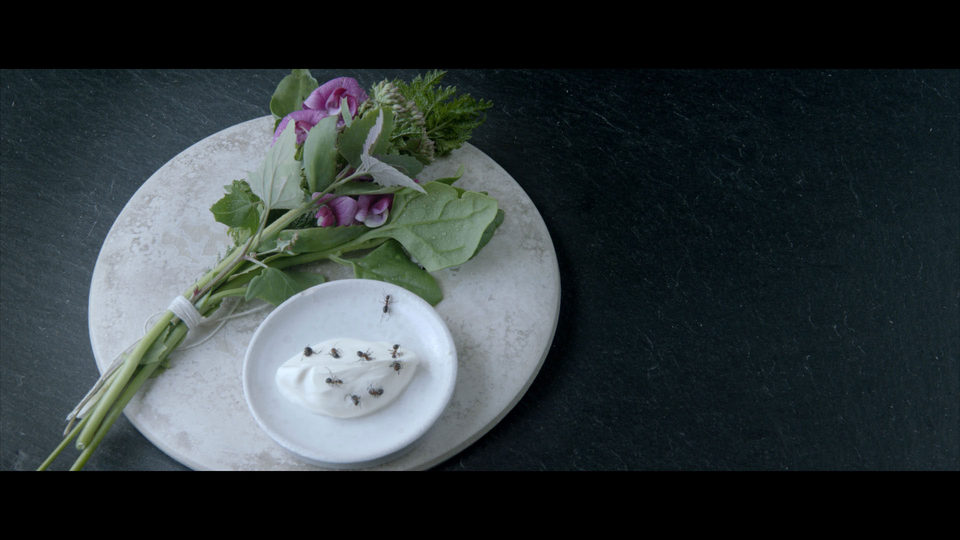 Noma: My Perfect Storm