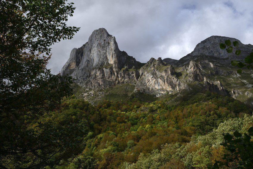 Cantábrico