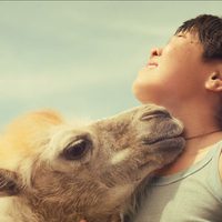 Celestial Camel