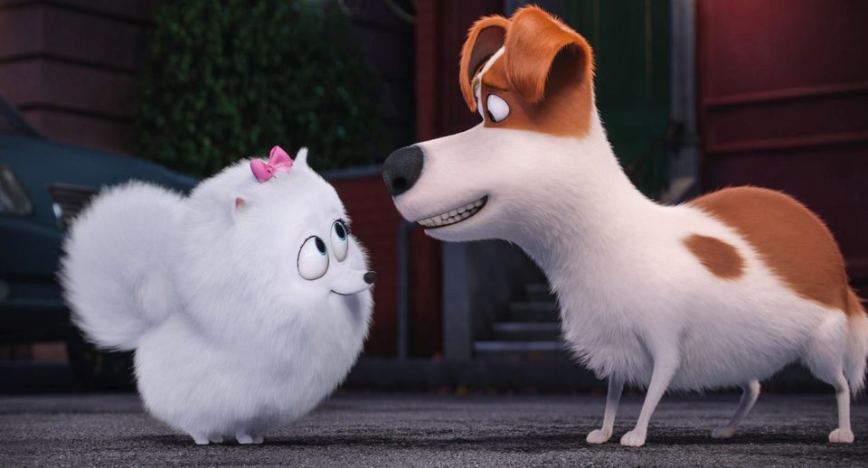 Mascotas