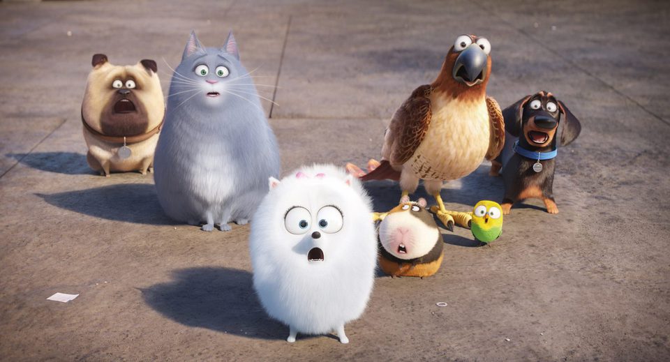 Mascotas