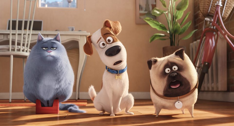 Mascotas