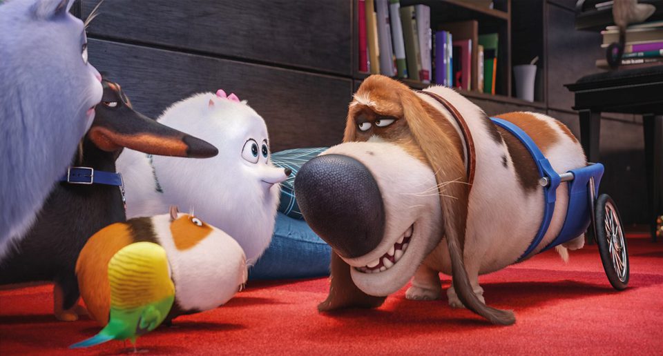 Mascotas