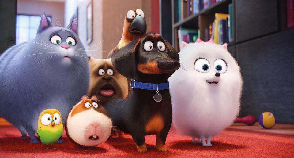 Mascotas