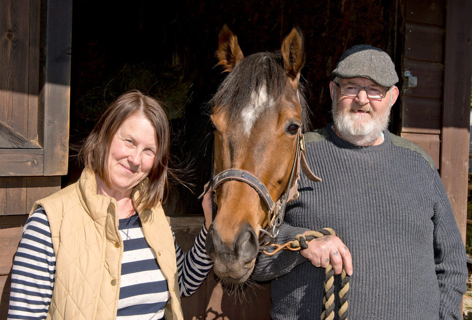 Caballo ganador (Dark Horse)