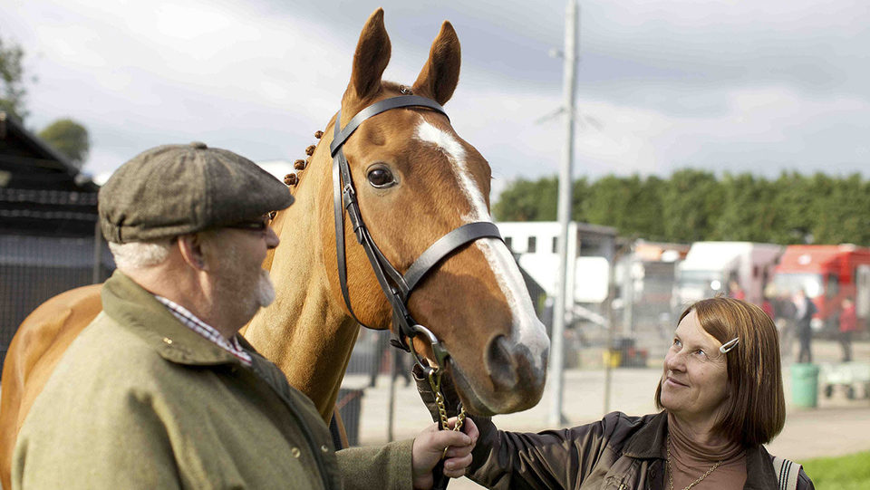 Caballo ganador (Dark Horse)