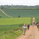 ¡Buen camino! Seis peregrinos, un destino