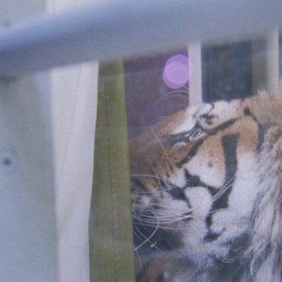 Ming of Harlem: Twenty One Storeys In The Air