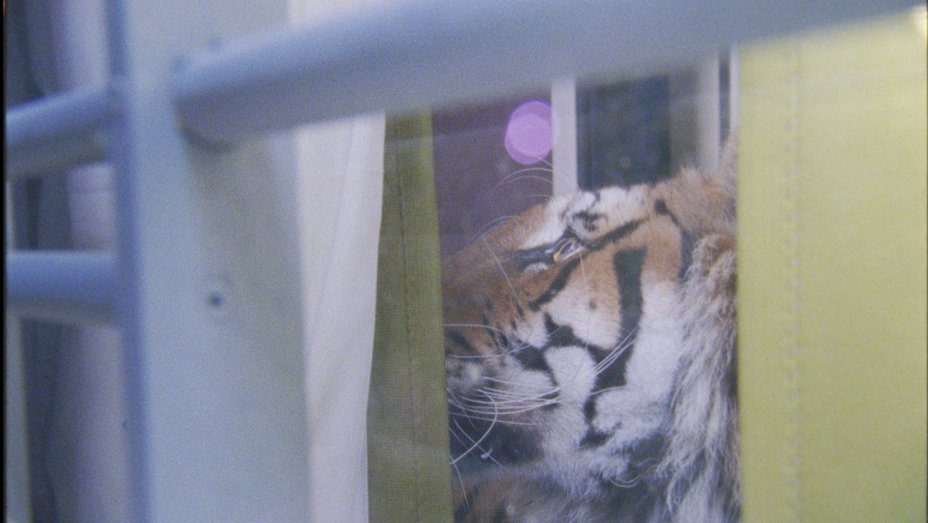 Ming of Harlem: Twenty One Storeys In The Air