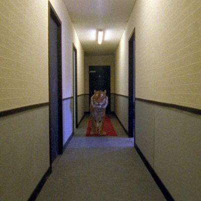 Ming of Harlem: Twenty One Storeys In The Air