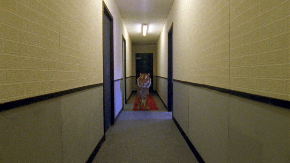 Ming of Harlem: Twenty One Storeys In The Air