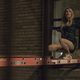 Nerve