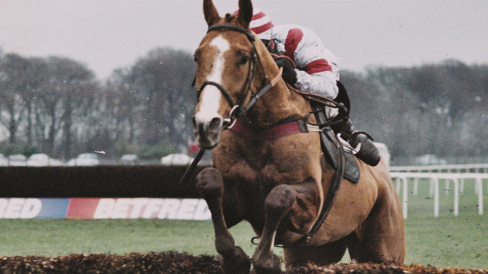 Caballo ganador (Dark Horse)