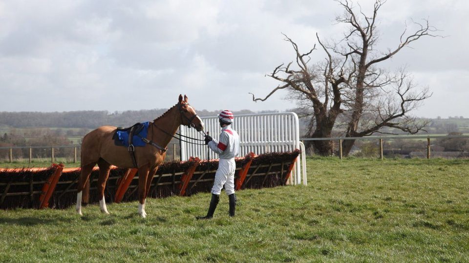 Caballo ganador (Dark Horse)