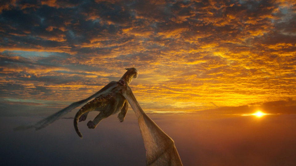 Peter y el dragón