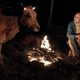 No se metan con mi vaca