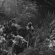Cartas de la guerra
