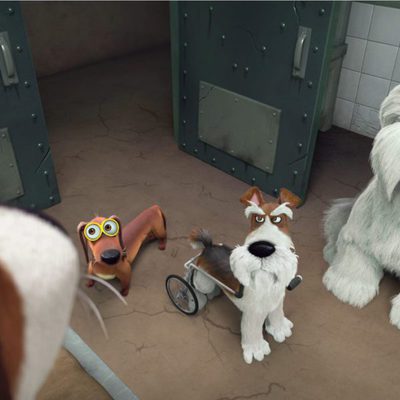 Ozzy, Rápido y Peludo