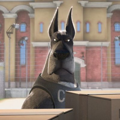 Ozzy, Rápido y Peludo