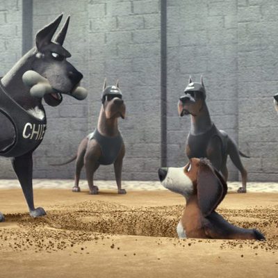 Ozzy, Rápido y Peludo