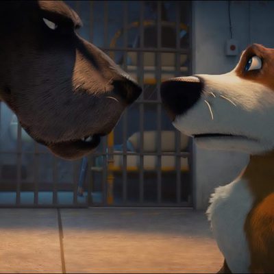 Ozzy, Rápido y Peludo