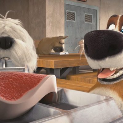 Ozzy, Rápido y Peludo