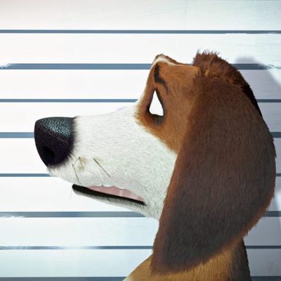 Ozzy, Rápido y Peludo