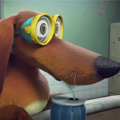 Ozzy, Rápido y Peludo