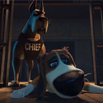 Ozzy, Rápido y Peludo