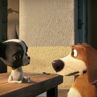 Ozzy, Rápido y Peludo