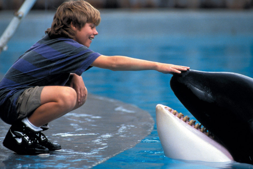 ¡Liberad a Willy!