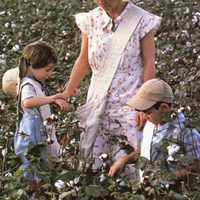 En un lugar del corazón