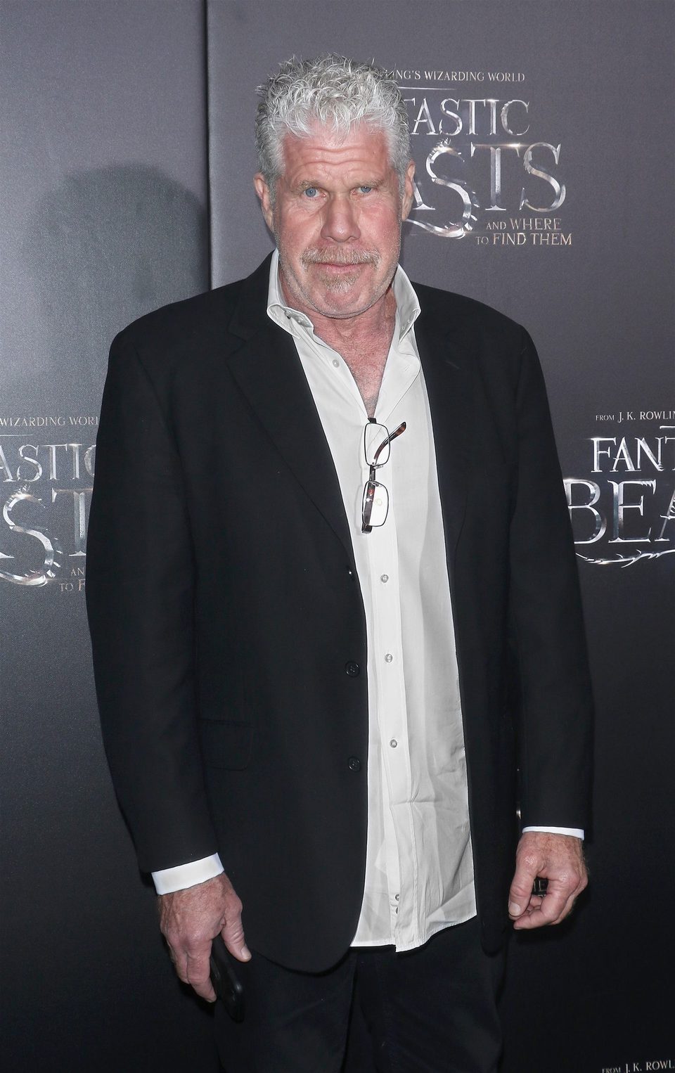 Ron Perlman en la premiere mundial de 'Animales fantásticos y dónde encontrarlos'